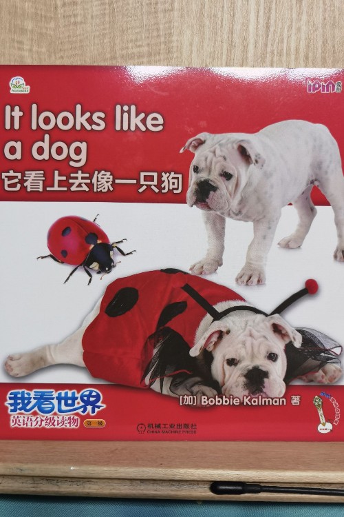 it look like a dog