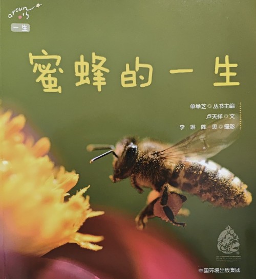 蜜蜂的一生