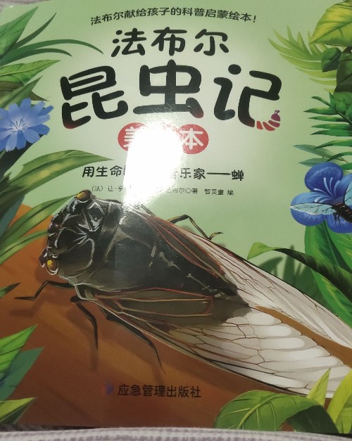 昆蟲記用生命歌唱的音樂家