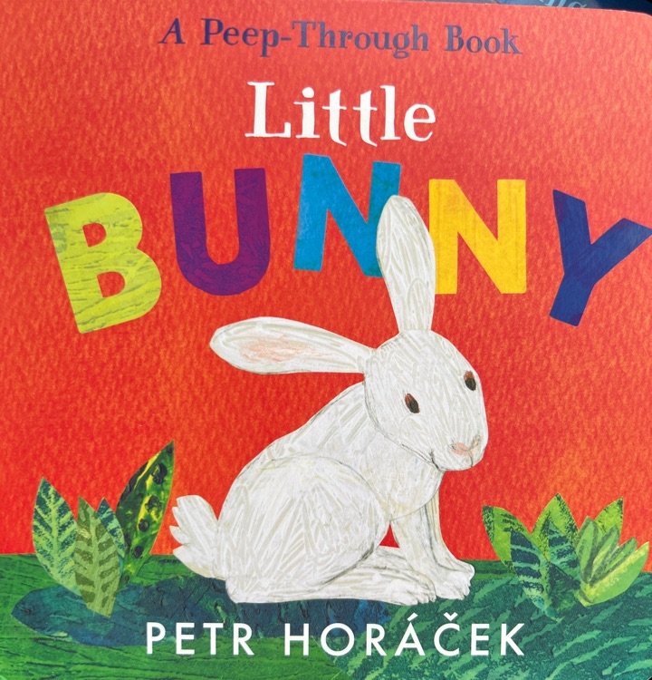 Little Bunny
