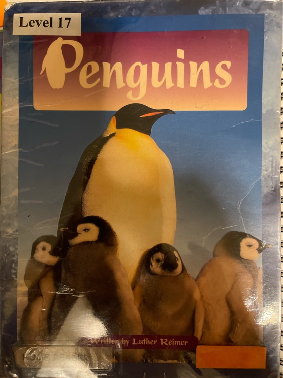 Penguins