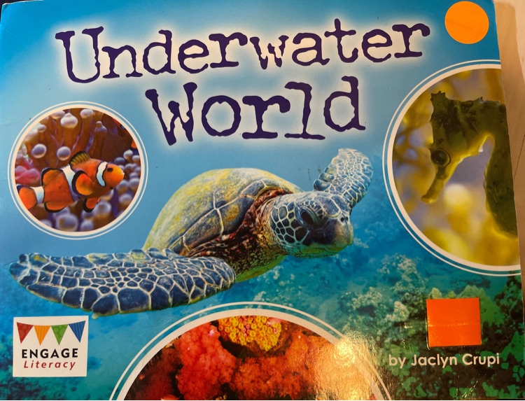 Underwater World