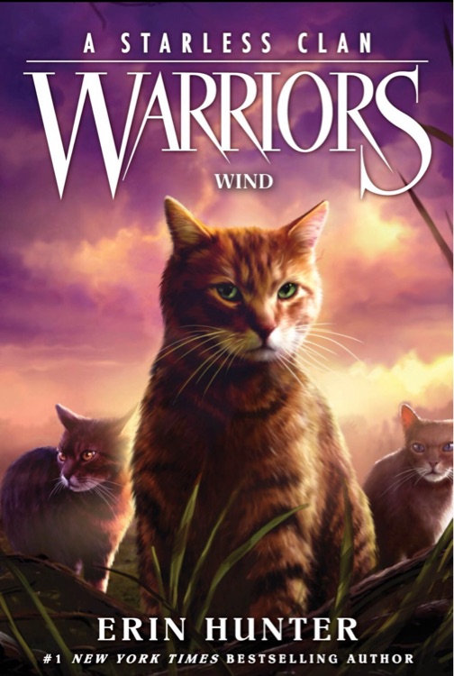 Warriors08-A Starless Clan-05 Wind