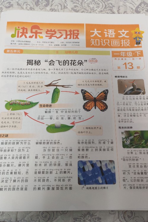 大語文知識畫報一年級下第13期