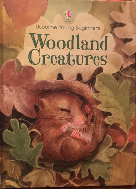 Woodland creatures