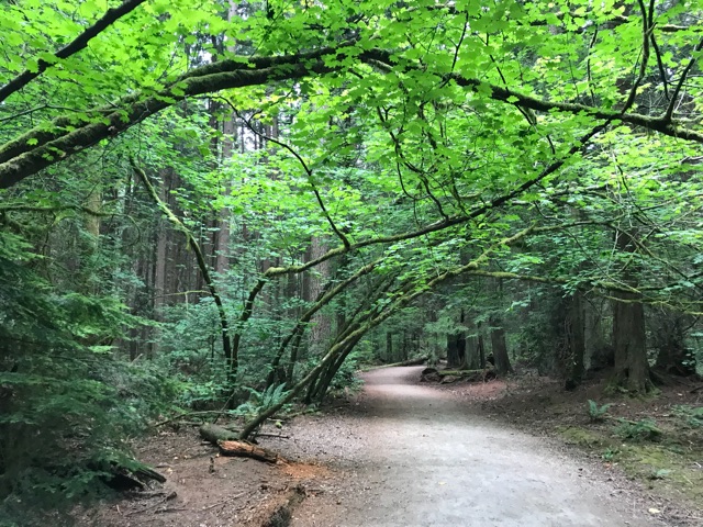 低齡游學路，到底