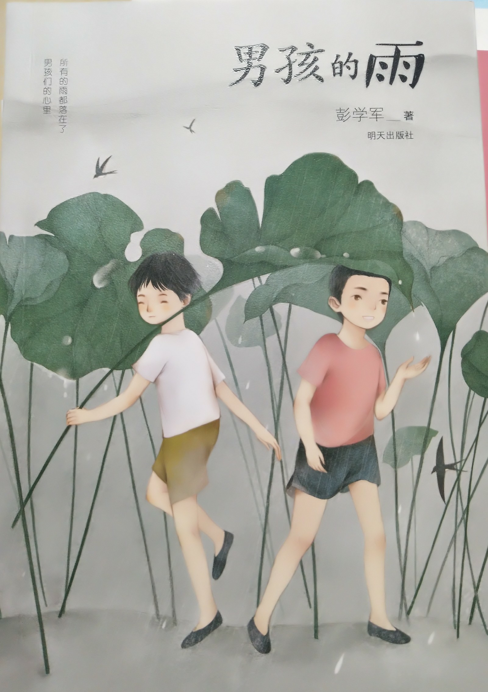 男孩的雨