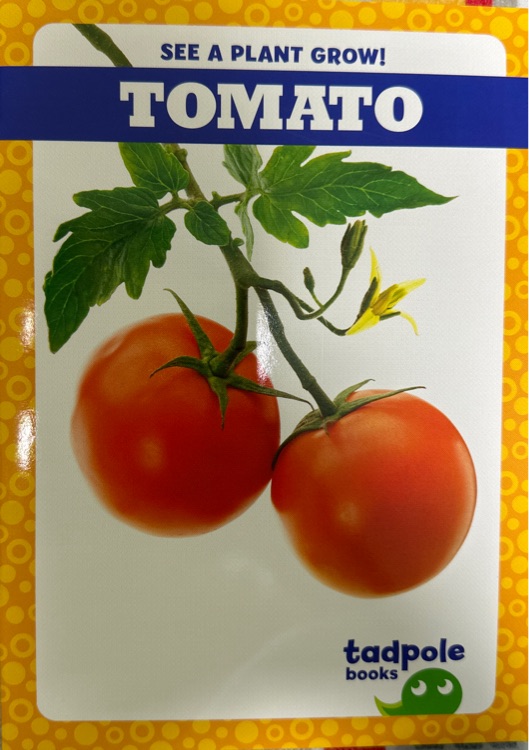 jump百科分級(jí)蝌蚪系列see a plant grow! ·tomato