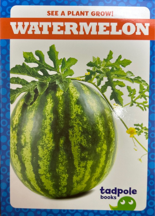 jump百科分級(jí)蝌蚪系列 see a plant grow! watermelon