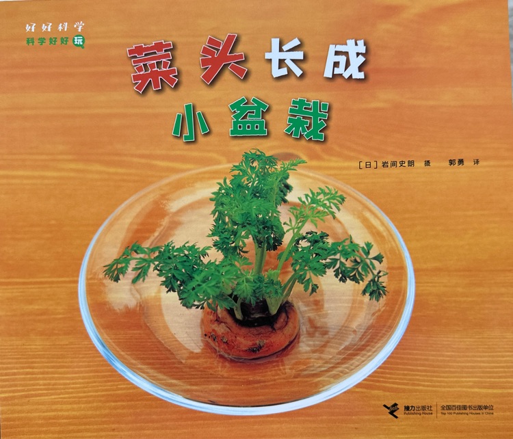 科學(xué)好好玩: 菜頭長(zhǎng)成小盆栽