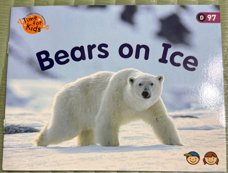 Bears on Ice