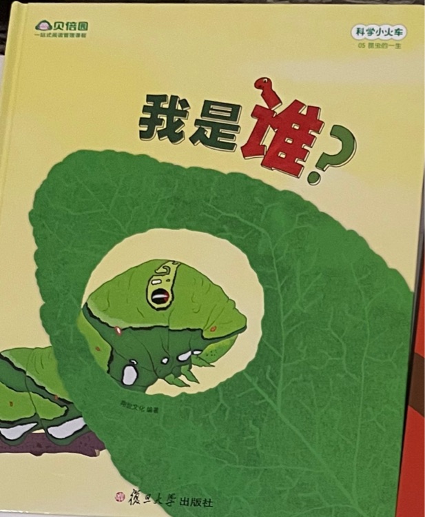 我是誰