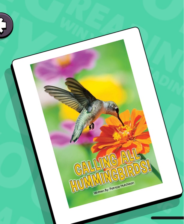 calling all hummingbirds