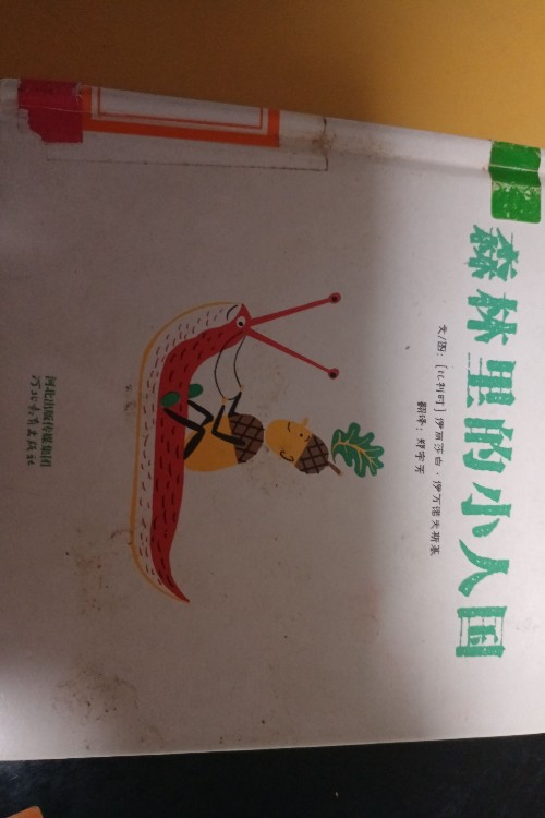 森林里的小人國
