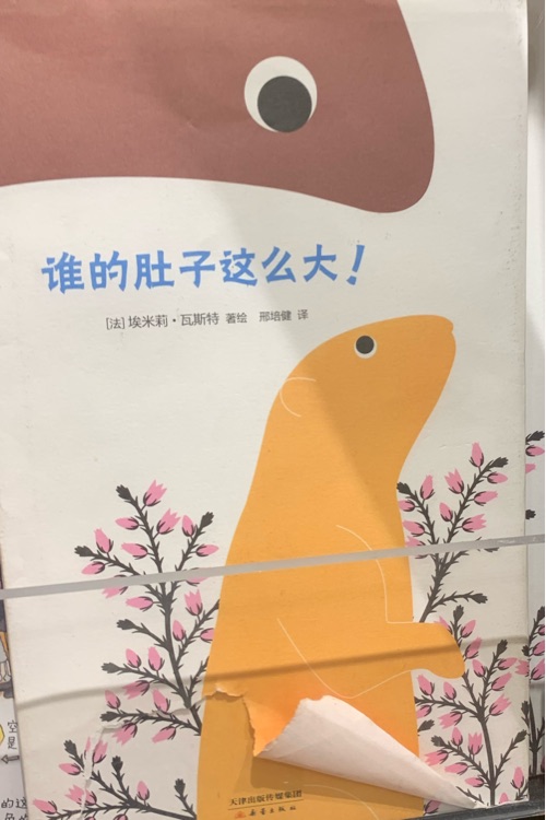 誰的肚子這么大