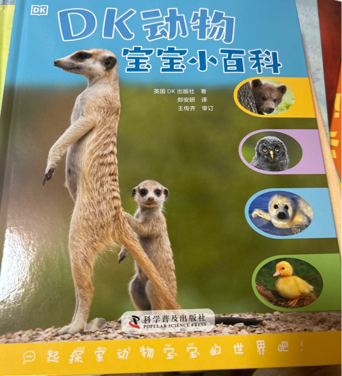 DK動物寶寶小百科