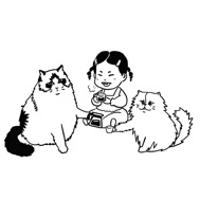 Z炘炘