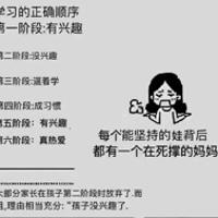 萌萌531