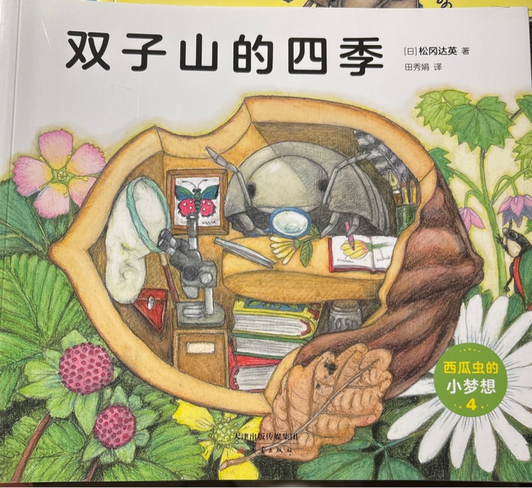 雙子山的四季
