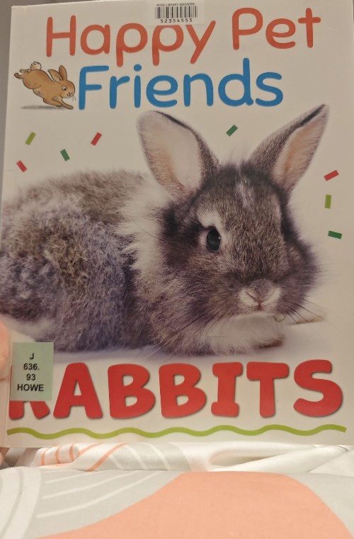 happy pet friends-rabbits