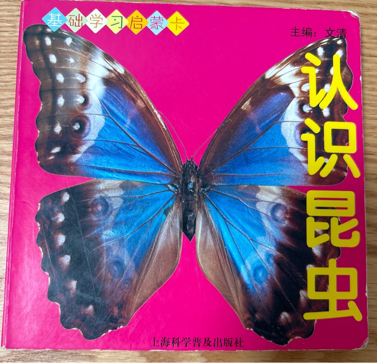 認識昆蟲