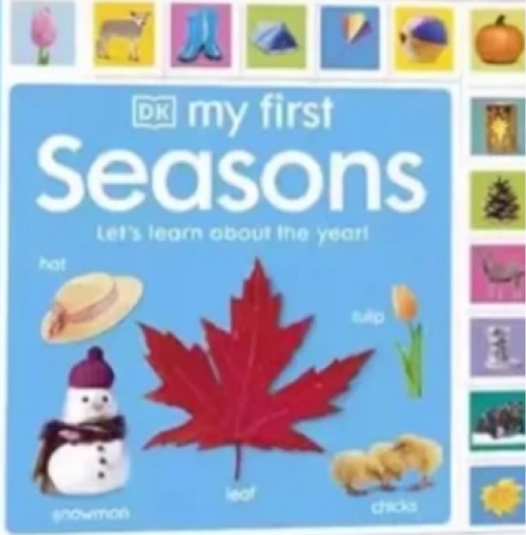 DK my first seasons