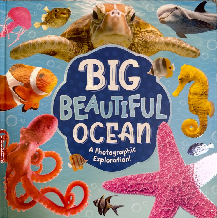 大美照片書-big beautiful ocean