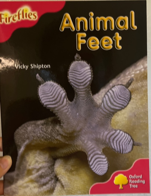 Animal feet