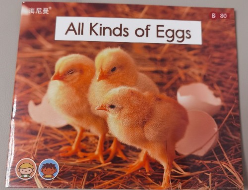 海尼曼gk2-80:All kinds of eggs