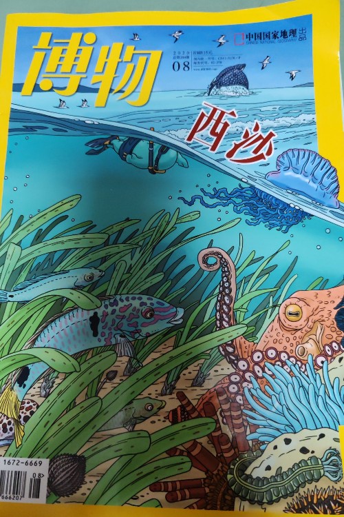 博物202008 西沙
