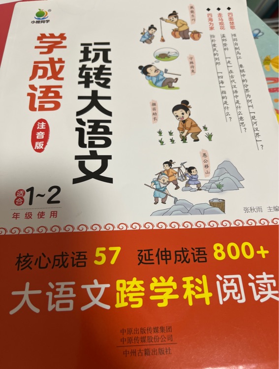 学成语 玩转大语文