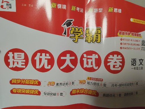 学霸提优大试卷
