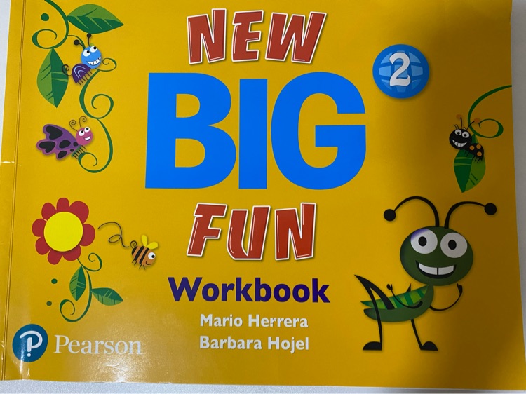 New big fun 2 workbook