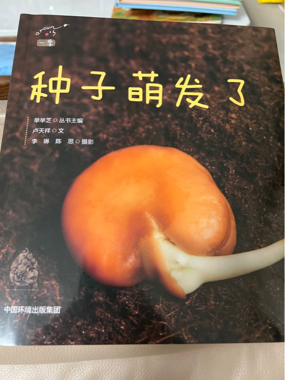 種子萌發(fā)了