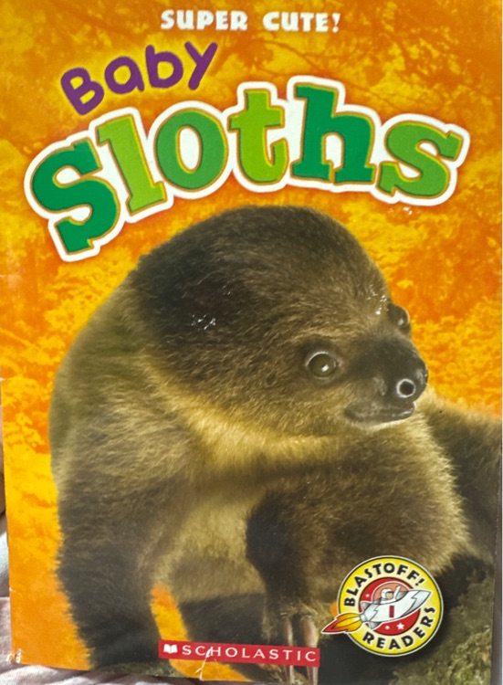 Baby Sloths