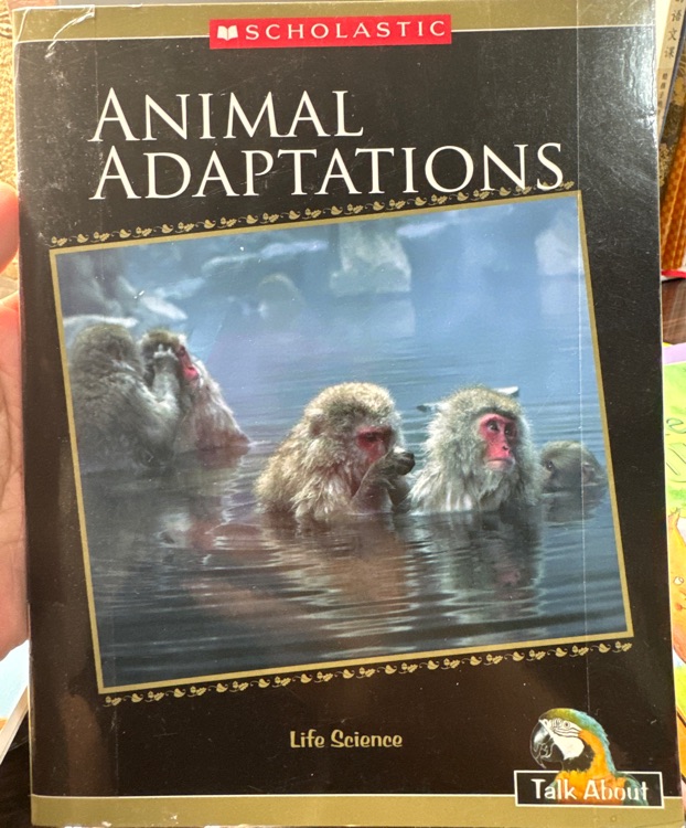 Animal Adaptions