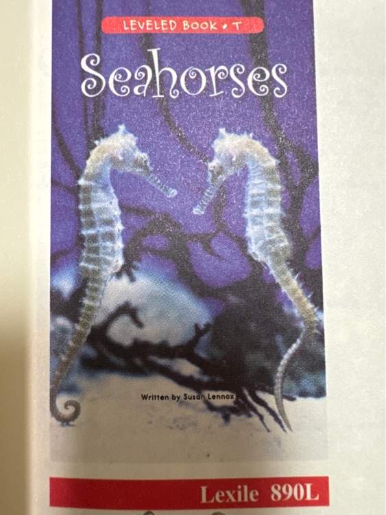 Seahorses(RAZ T)