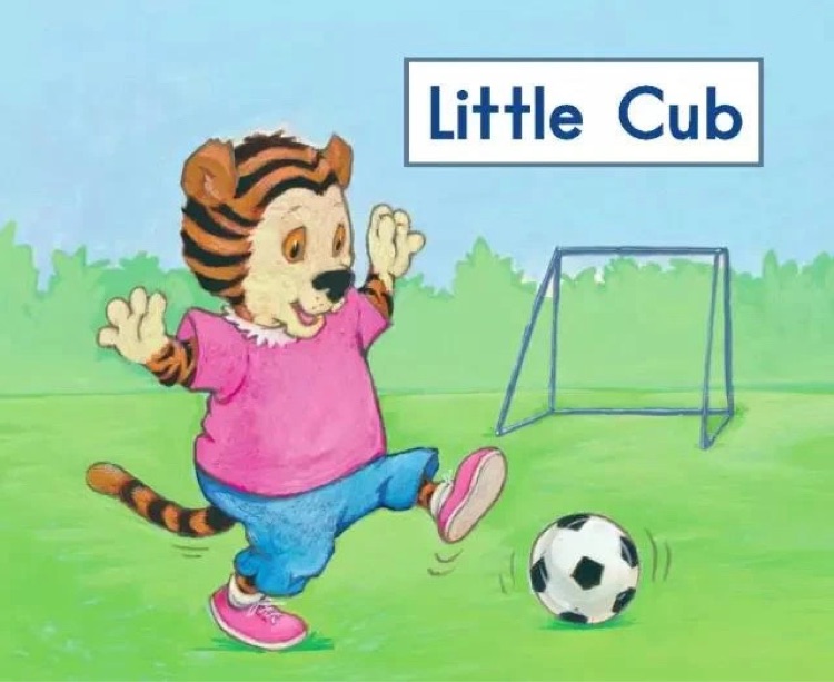 Heinemann Gk-13: Little Cub