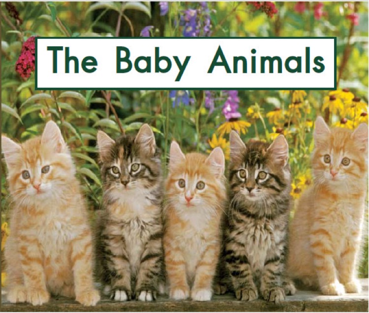 Heinemann Gk-44: The Baby Animals