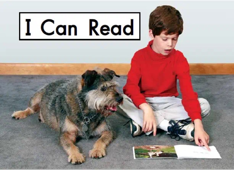 Heinemann Gk-10: I Can Read