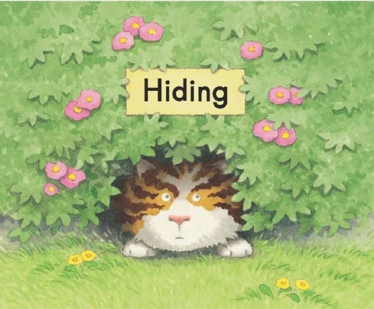 Heinemann Gk-53: Hiding