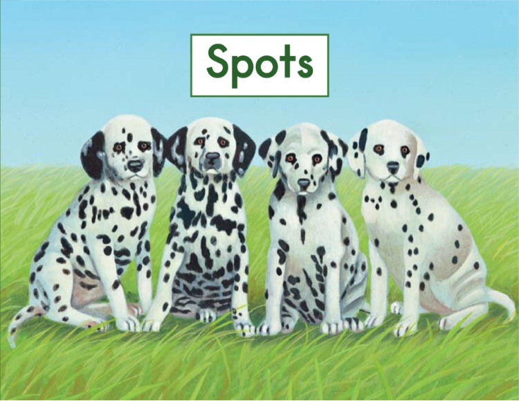 Heinemann Gk-39: Spots