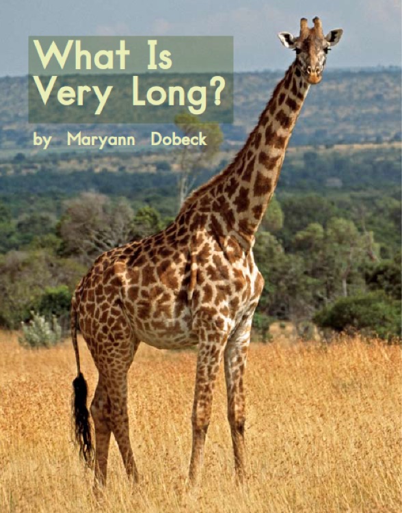 Heinemann Gk-62: What Is Very Long?
