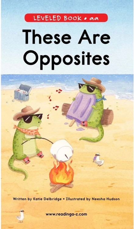100 These Are Opposites (RAZ aa)