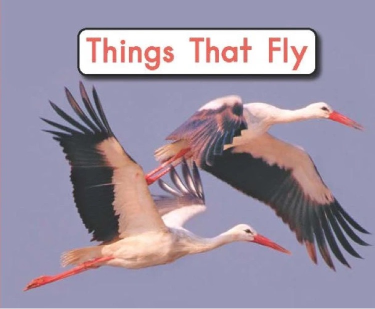 Heinemann G2-2: Things That Fly