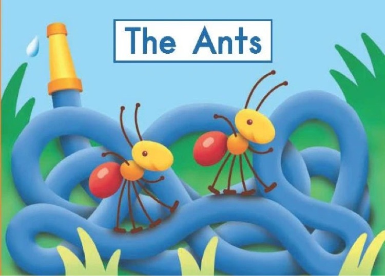 Heinemann G2-14: The Ants
