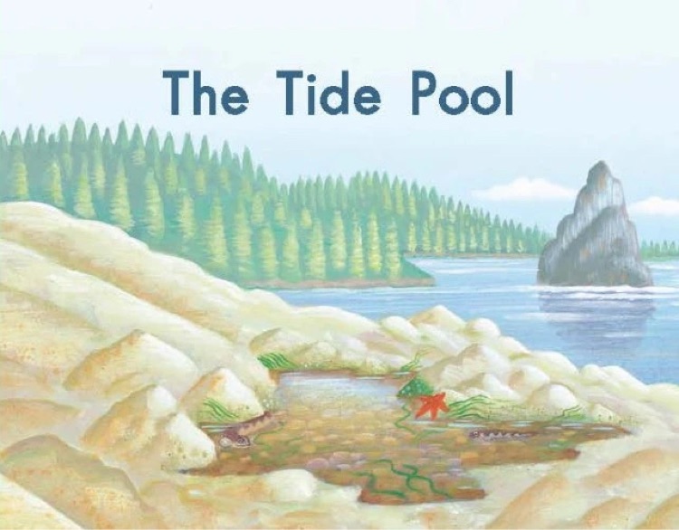 Heinemann G2-4: The Tide Pool