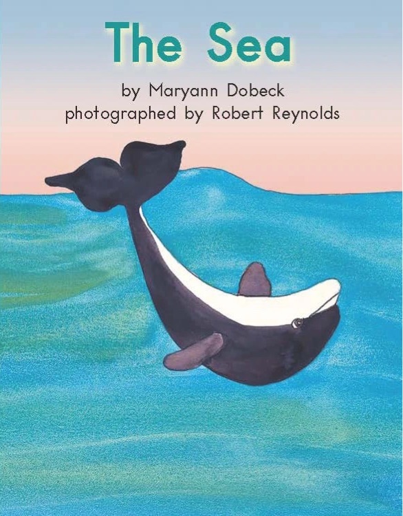 Heinemann G2-3: The Sea