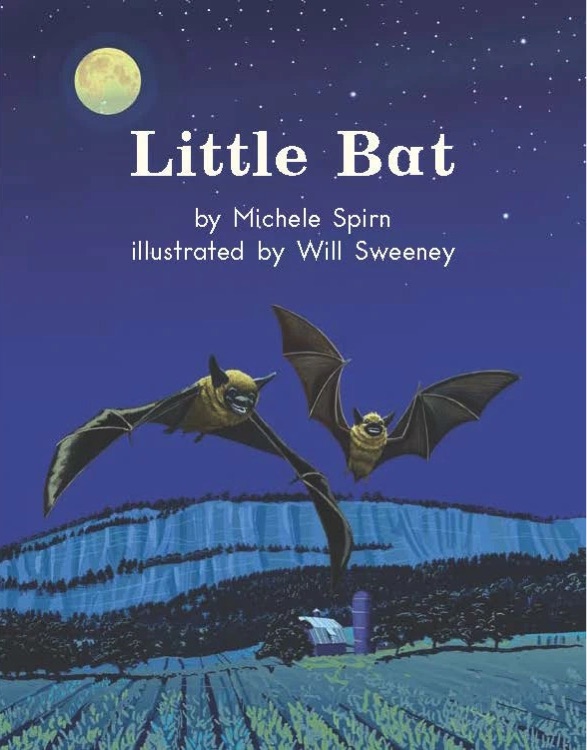 Heinemann G2-27: Little Bat