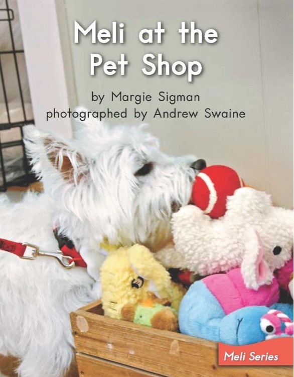 Heinemann G2-23: Meli at the pet shop